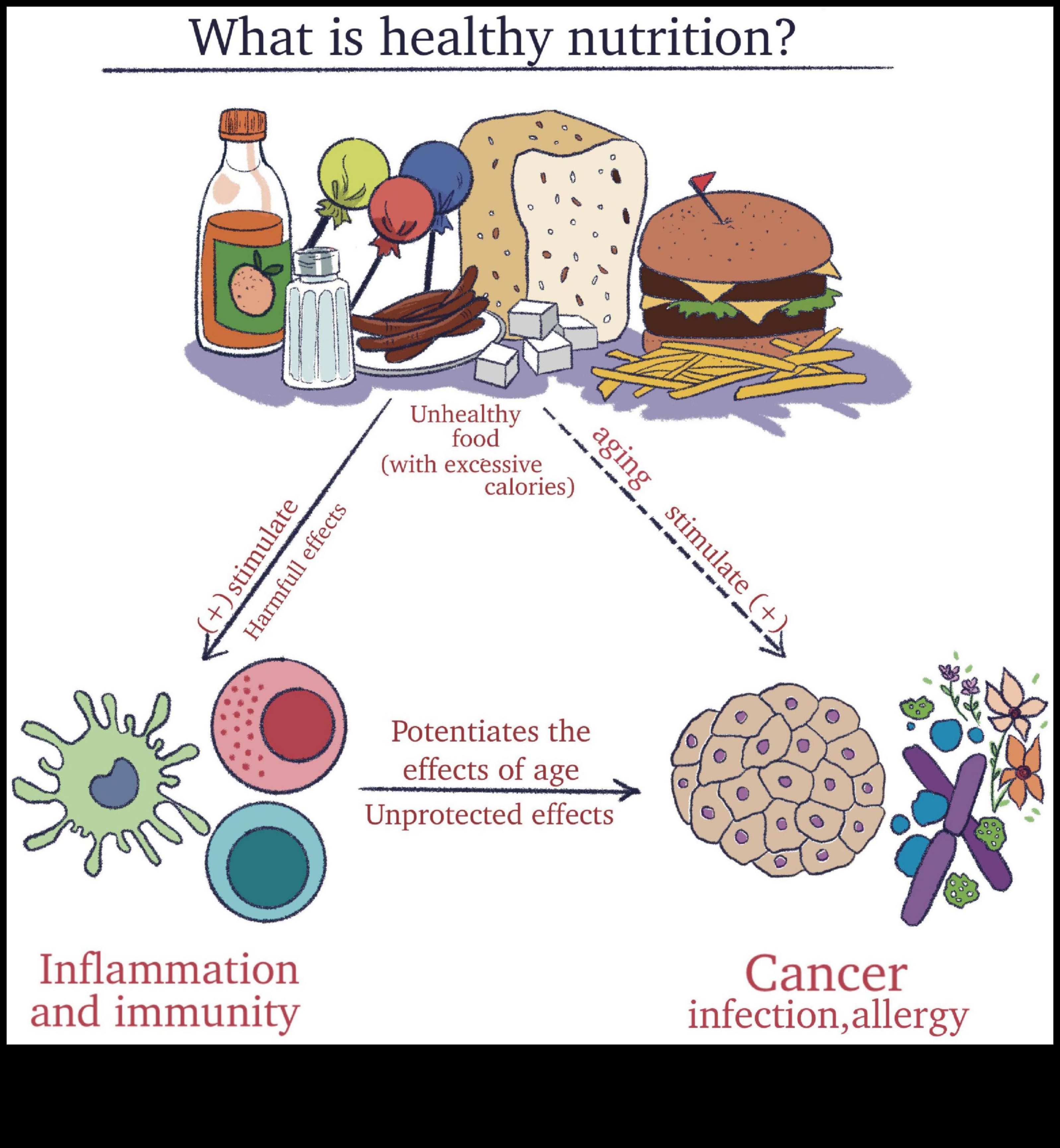 Optimum Beslenme: Mikronutrient Mükemmelliğinin ABC'leri