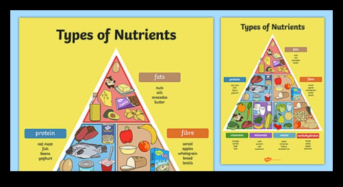 Optimum Beslenme: Mikronutrient Mükemmelliğinin ABC'leri