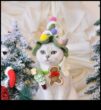 Whisker Wonderland Kedi Dostu Bir Noel Yaratıyor