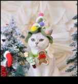 Whisker Wonderland Kedi Dostu Bir Noel Yaratıyor